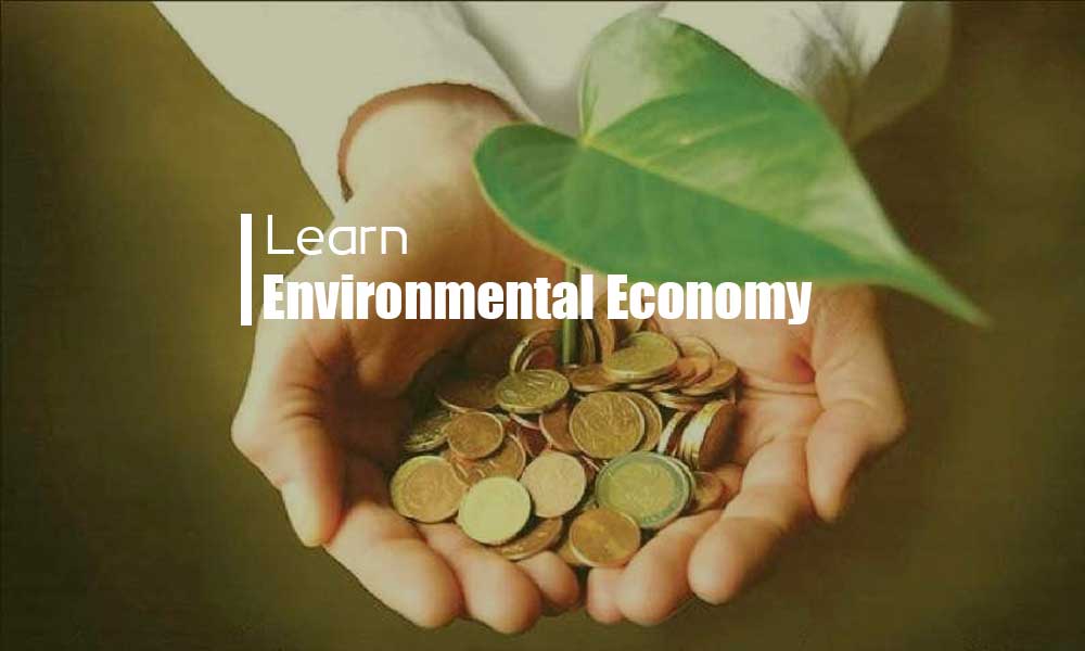 اقتصاد محیط زیست