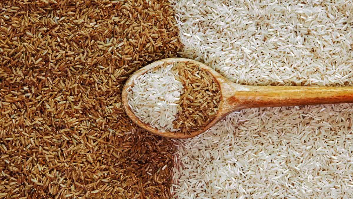 برنج قهوه ای و فواید آن برای سلامتی